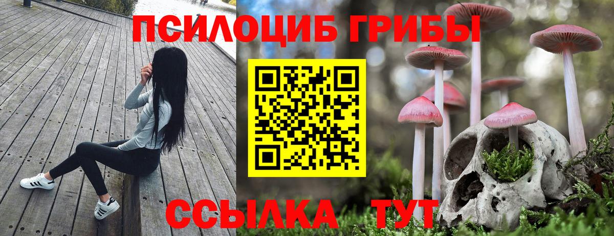 Шахты  Псилоцибиновые грибы мухоморы  закладки  Вход с VPN 