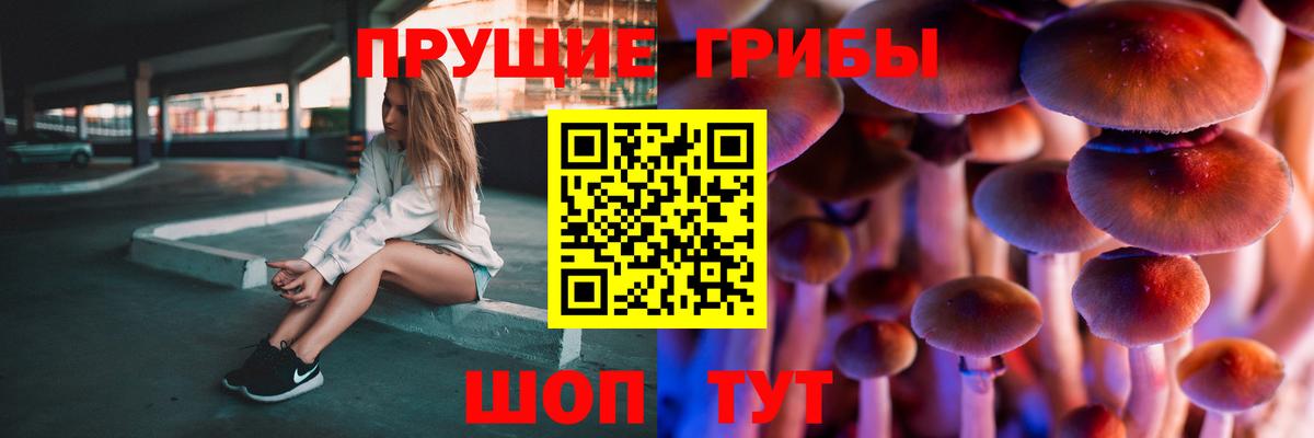 Псилоцибиновые грибы MAGIC MUSHROOMS Шахты