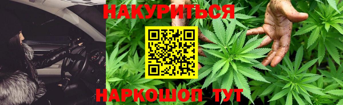 Каннабис сатива Шахты